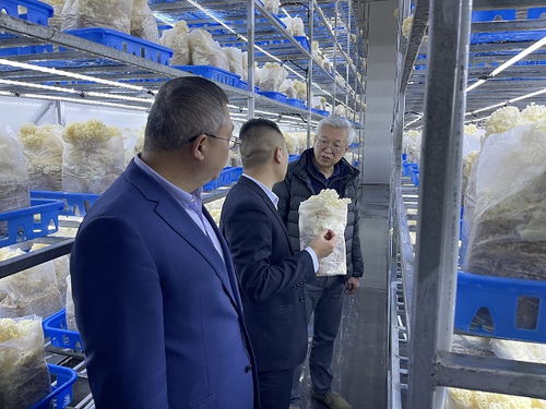 趙衛(wèi)深入商洛開展企業(yè)管理咨詢調(diào)研，助力區(qū)域經(jīng)濟發(fā)展